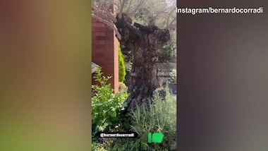 Corradi a casa: missione..'giardiniere'