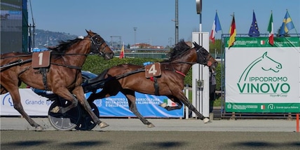 Ippica, Torino: Gran Premio Costa Azzurra, trionfo di Always EK. Nei Derby 4 anni a segno Giovaz e Guglielmo Jet