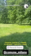 Fognini critica il Comune di Milano: "Tagliate l'erba"