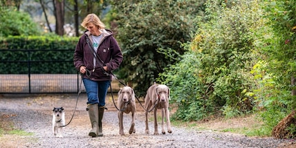 Petsonal trainer: quando il coach ha la coda