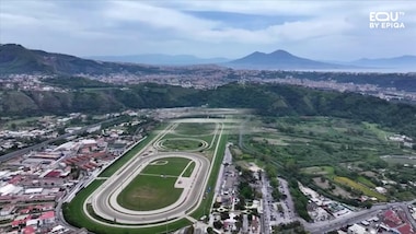 Napoli, è grande trotto internazionale con il 77° Gran Premio Lotteria