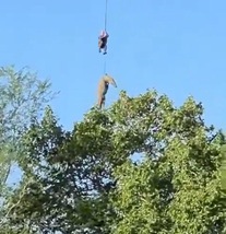 Resti umani nello stomaco di un coccodrillo in Sudafrica, forse è uomo scomparso