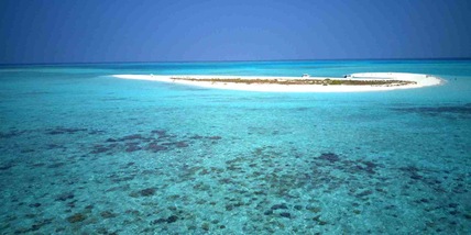 Cinque italiani morti alle Maldive durante un'immersione