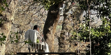In arrivo la relazione degli ispettori del ministero sulla famiglia del bosco