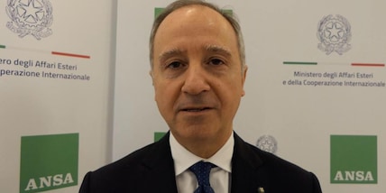Varricchio, la firma di Pax Silica con gli Usa in Italia nelle prossime settimane