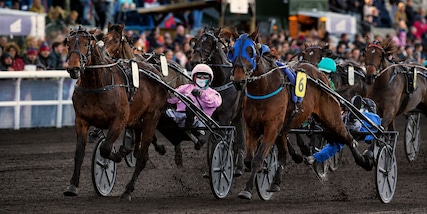 Norvegia, domenica l’Ulf Thoresen Grand International: l'Italia con Executiv Ek e Alessandro Gocciadoro
