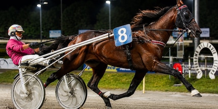 Cesena, prima classica della stagione: sabato 4 luglio il Gran Premio Riccardo Grassi