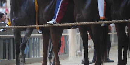 Palio di Siena, vince contrada Aquila, non accadeva dal 1992