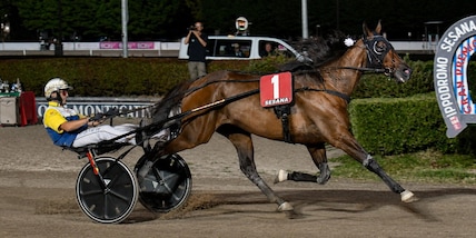 Montecatini, successo di Goodbye Kiss nel 73° Gran Premio Nello Bellei