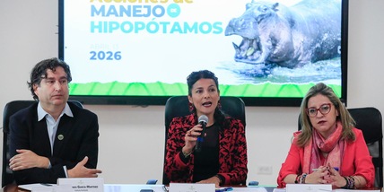 Colombia, stop all'abbattimento degli ippopotami di Pablo Escobar
