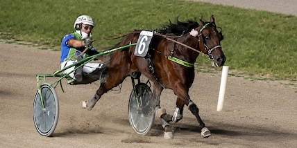 Padova, Gill Dorial inaugura l'albo d'oro del Gran Premio Giuseppe Stefanelli