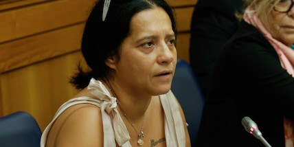 Madre di Domenico, 'a settembre il processo, voglio guardarli negli occhi'