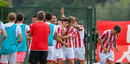 Coppa Italia, Vicenza-Catania: migliori quote e pronostico