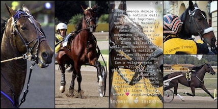 Varenne è morto: addio al cavallo più famoso della storia dell'ippica
