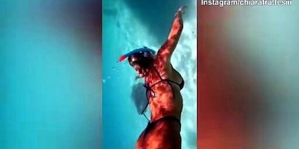 Chiara Frattesi, splendida immersione a contatto con i delfini