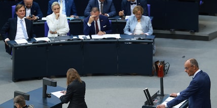Merz attacca Afd, 'la vostra remigrazione è pulizia etnica'