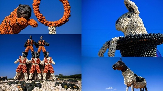 Che show in Germania: le straordinarie sculture... di zucca!