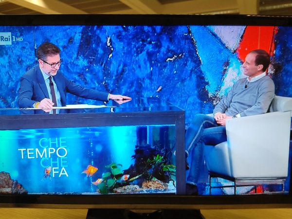 Allegri ancora in tv contro Adani: «Basta lezioncine, non è ferrato»