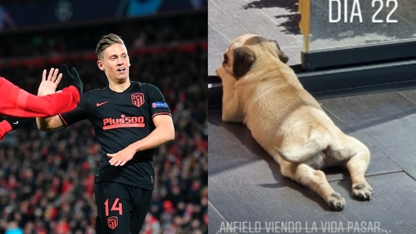 Marcos Llorente e quella incredibile doppietta al Liverpool: il suo cane si chiama Anfield