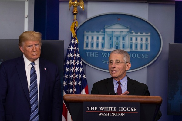 Washington Post: "Trump chiese l'immunità di gregge per gli Usa"