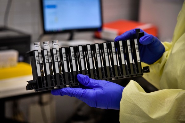 Coronavirus, i dati in Italia: 262 morti nelle ultime 24 ore