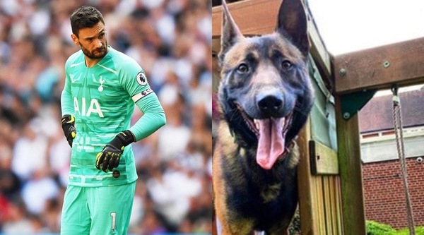 As: "Lloris, 17 mila euro per un cane da guardia"