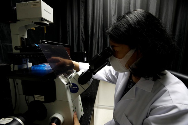 "Cina, 3 vaccini per il Coronavirus sono entrati negli studi clinici di Fase 2"