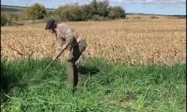 Cavani, addominali nei campi