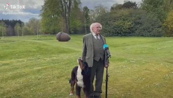 L’ospite dell’intervista al presidente irlandese è... il suo cagnolino: gli ruba tutta la scena!