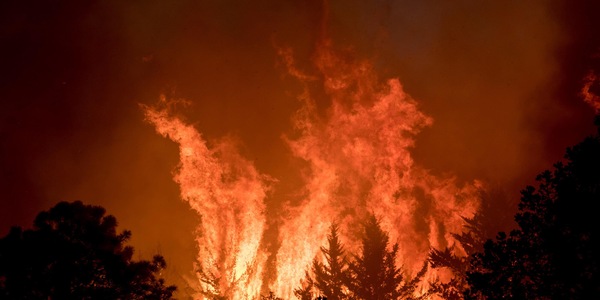 Celtic, notte choc per Lawwell: incendio in casa. Tutti illesi