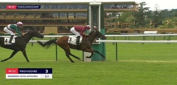 Allegri e i cavalli, binomio vincente: trionfo all'Ippodromo di Parigi