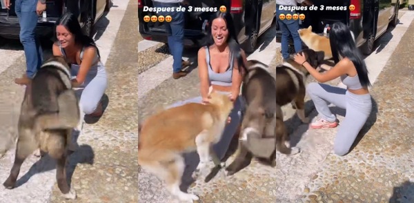 Oriana Sabatini riabbraccia i suoi cani dopo 3 mesi