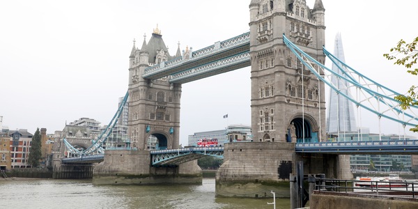Incredibile a Londra: squali nel Tamigi