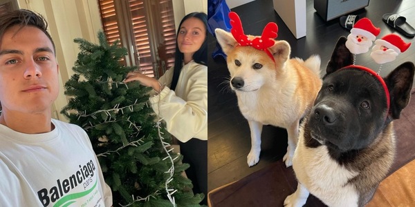 Dybala e Oriana fanno l'albero di Natale: gli akita reagiscono così