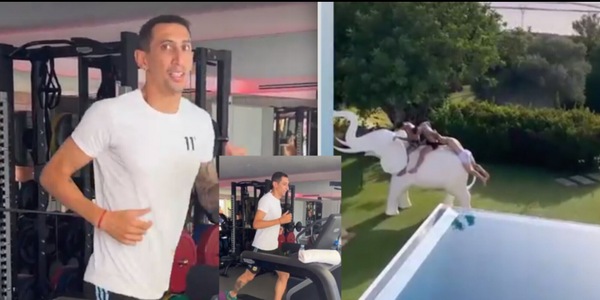 Di Maria si allena, in bianconero, tra fiducia e docce fredde. E salta sull'elefante...