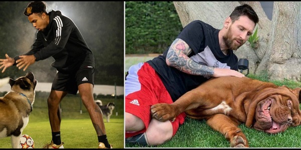 Messi, McKennie, Dybala, Icardi, Hamilton...: anche i cani incidono sulle scelte!