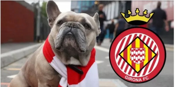 Rivoluzione Girona: posti per i cani allo stadio!