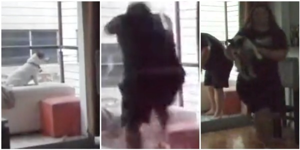 Argentina, sfonda la porta vetro al rigore di Lautaro: il VIDEO esilarante fa il giro del mondo