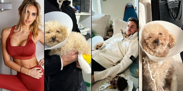 Rugani, Michela Persico e la giornata orrenda: "Dory ha perso un dito"