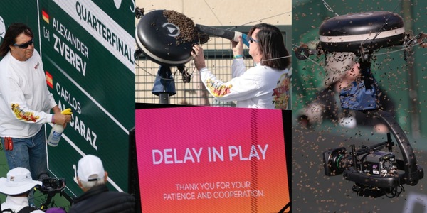 Indian Wells, lo Specialista Lance Davis libera il campo dalle api a mani nude!