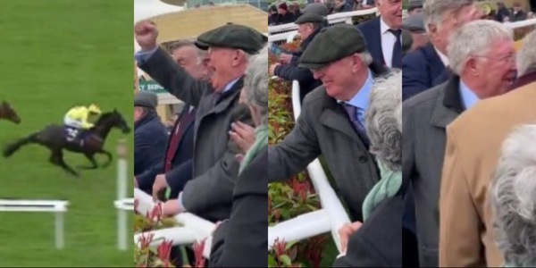 Ferguson, passione cavalli come Allegri: Sir Alex, doppio trionfo a Cheltenham