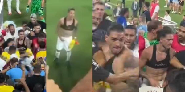Darwin Nunez impazzisce: va in tribuna e prende a pugni i tifosi della Colombia