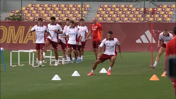 Roma, il Benfica valuta il riscatto di Dahl