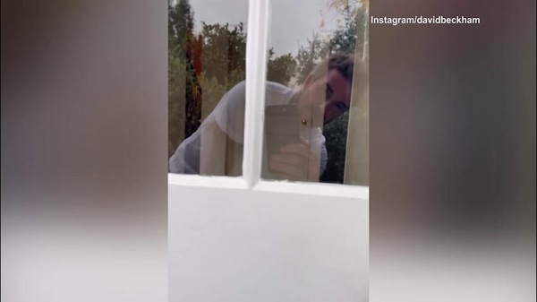 Beckham e Simba festeggiano la giornata del cane