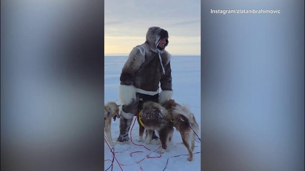 Ibrahimovic sulla slitta come un eschimese