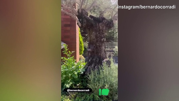 Corradi a casa: missione..'giardiniere'