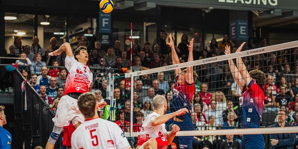Cev Cup: Piacenza ospita il Luneburg nell'ultimo atto della manifestazione