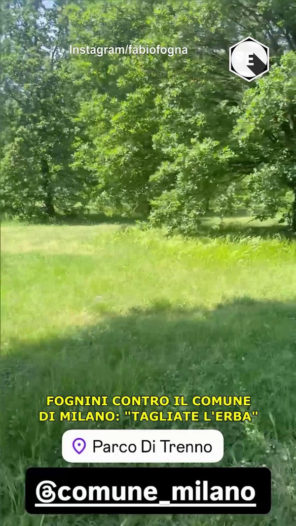 Fognini critica il Comune di Milano: "Tagliate l'erba"