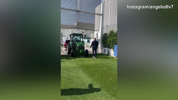 Juventus, Di Livio e compagni ricordano e festeggiano l'ultima Champions bianconera