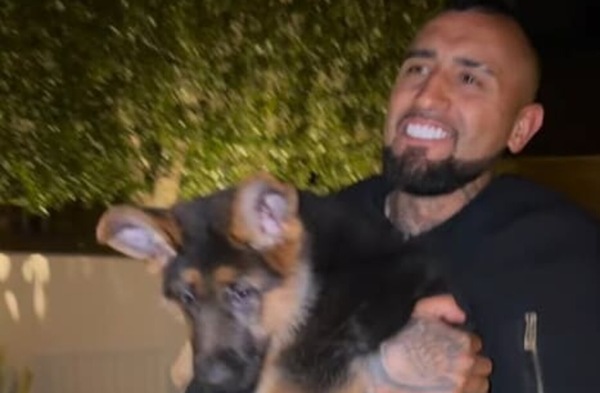 Vidal non dimentica la Juve e chiama il cane Pirlo. Social scatenati: "Le sa tirare le punizioni?"